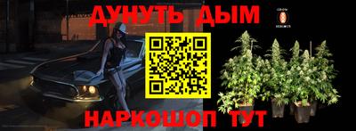 спиды Аргун