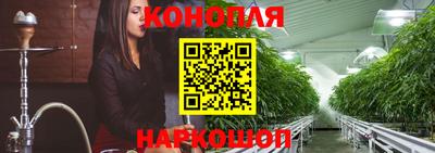 спиды Аргун