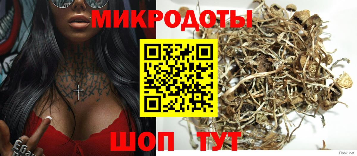 Богданович  Галлюциногенные грибы Cubensis  Вход с VPN 