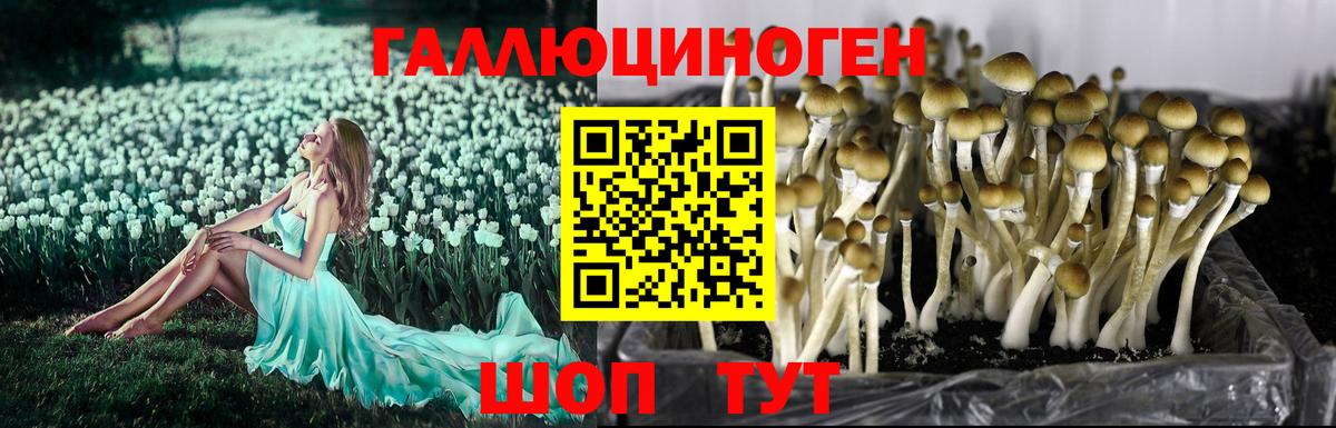Кодеин Богданович