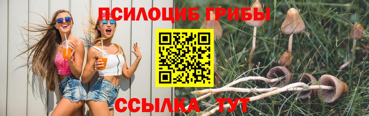 NBOMe Богданович