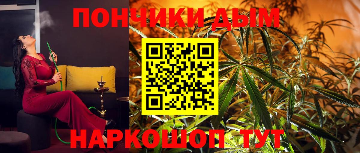 Бошки марихуана план  Бошки марихуана семена  Вход с VPN  Богданович  МАРИХУАНА гибрид 